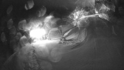 Modrá sjezdovka - dojezd k lanové dráze