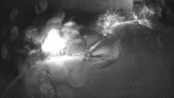 Modrá sjezdovka - dojezd k lanové dráze