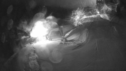 Modrá sjezdovka - dojezd k lanové dráze