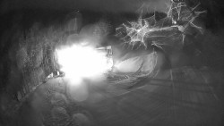 Modrá sjezdovka - dojezd k lanové dráze