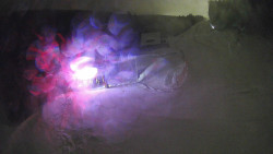 Modrá sjezdovka - dojezd k lanové dráze