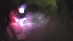 Modrá sjezdovka - dojezd k lanové dráze