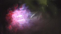 Modrá sjezdovka - dojezd k lanové dráze