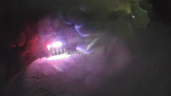 Modrá sjezdovka - dojezd k lanové dráze