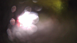 Modrá sjezdovka - dojezd k lanové dráze