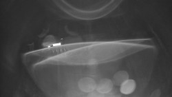 Modrá sjezdovka - dojezd k lanové dráze