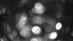 Modrá sjezdovka - dojezd k lanové dráze