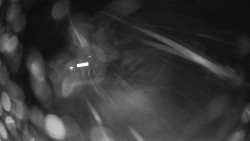 Modrá sjezdovka - dojezd k lanové dráze