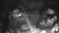 Modrá sjezdovka - dojezd k lanové dráze