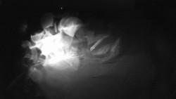 Modrá sjezdovka - dojezd k lanové dráze