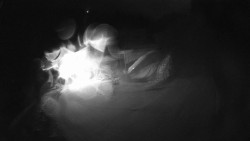 Modrá sjezdovka - dojezd k lanové dráze