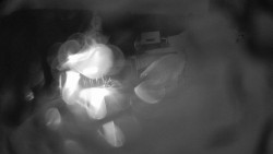 Modrá sjezdovka - dojezd k lanové dráze