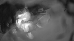 Modrá sjezdovka - dojezd k lanové dráze