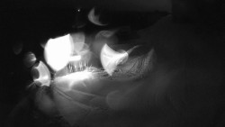 Modrá sjezdovka - dojezd k lanové dráze