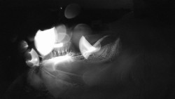 Modrá sjezdovka - dojezd k lanové dráze