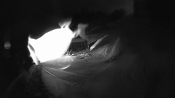 Modrá sjezdovka - dojezd k lanové dráze