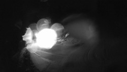 Modrá sjezdovka - dojezd k lanové dráze