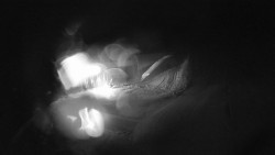 Modrá sjezdovka - dojezd k lanové dráze