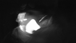 Modrá sjezdovka - dojezd k lanové dráze