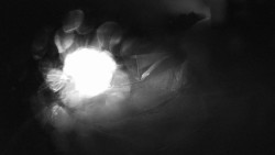 Modrá sjezdovka - dojezd k lanové dráze