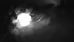 Modrá sjezdovka - dojezd k lanové dráze