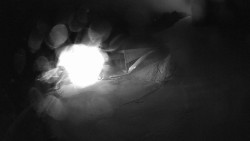 Modrá sjezdovka - dojezd k lanové dráze