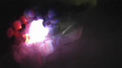 Modrá sjezdovka - dojezd k lanové dráze