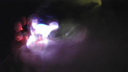 Modrá sjezdovka - dojezd k lanové dráze