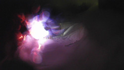 Modrá sjezdovka - dojezd k lanové dráze