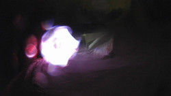 Modrá sjezdovka - dojezd k lanové dráze