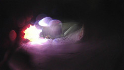 Modrá sjezdovka - dojezd k lanové dráze