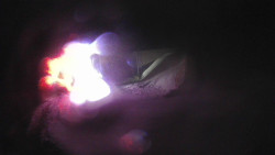 Modrá sjezdovka - dojezd k lanové dráze