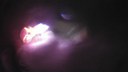 Modrá sjezdovka - dojezd k lanové dráze