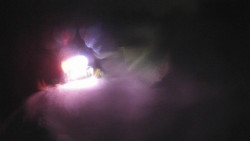 Modrá sjezdovka - dojezd k lanové dráze