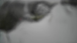 Modrá sjezdovka - dojezd k lanové dráze