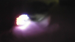 Modrá sjezdovka - dojezd k lanové dráze