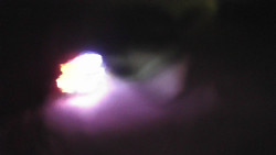 Modrá sjezdovka - dojezd k lanové dráze