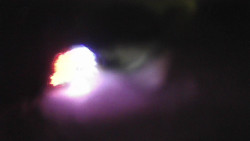 Modrá sjezdovka - dojezd k lanové dráze