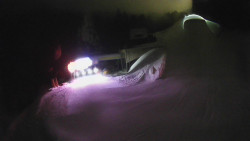 Modrá sjezdovka - dojezd k lanové dráze