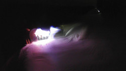 Modrá sjezdovka - dojezd k lanové dráze