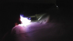 Modrá sjezdovka - dojezd k lanové dráze