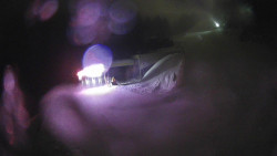 Modrá sjezdovka - dojezd k lanové dráze