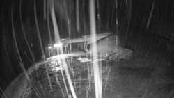 Modrá sjezdovka - dojezd k lanové dráze