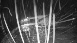 Modrá sjezdovka - dojezd k lanové dráze