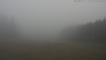 Snímek 5.11.2025 v 08:02