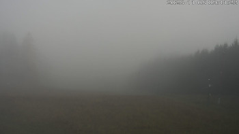 Snímek 5.11.2025 v 09:45