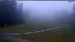 Slalomka
