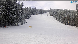 Skicentrum Říčky - Slalomka - 19.2.2026 v 13:30 Skicentrum Říčky - Slalomka - 19.2.2026 v 13:30