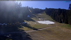 Slalomka