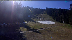 Slalomka